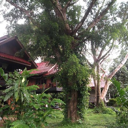 Готель Bamboo House Khao Sok National Park Екстер'єр фото