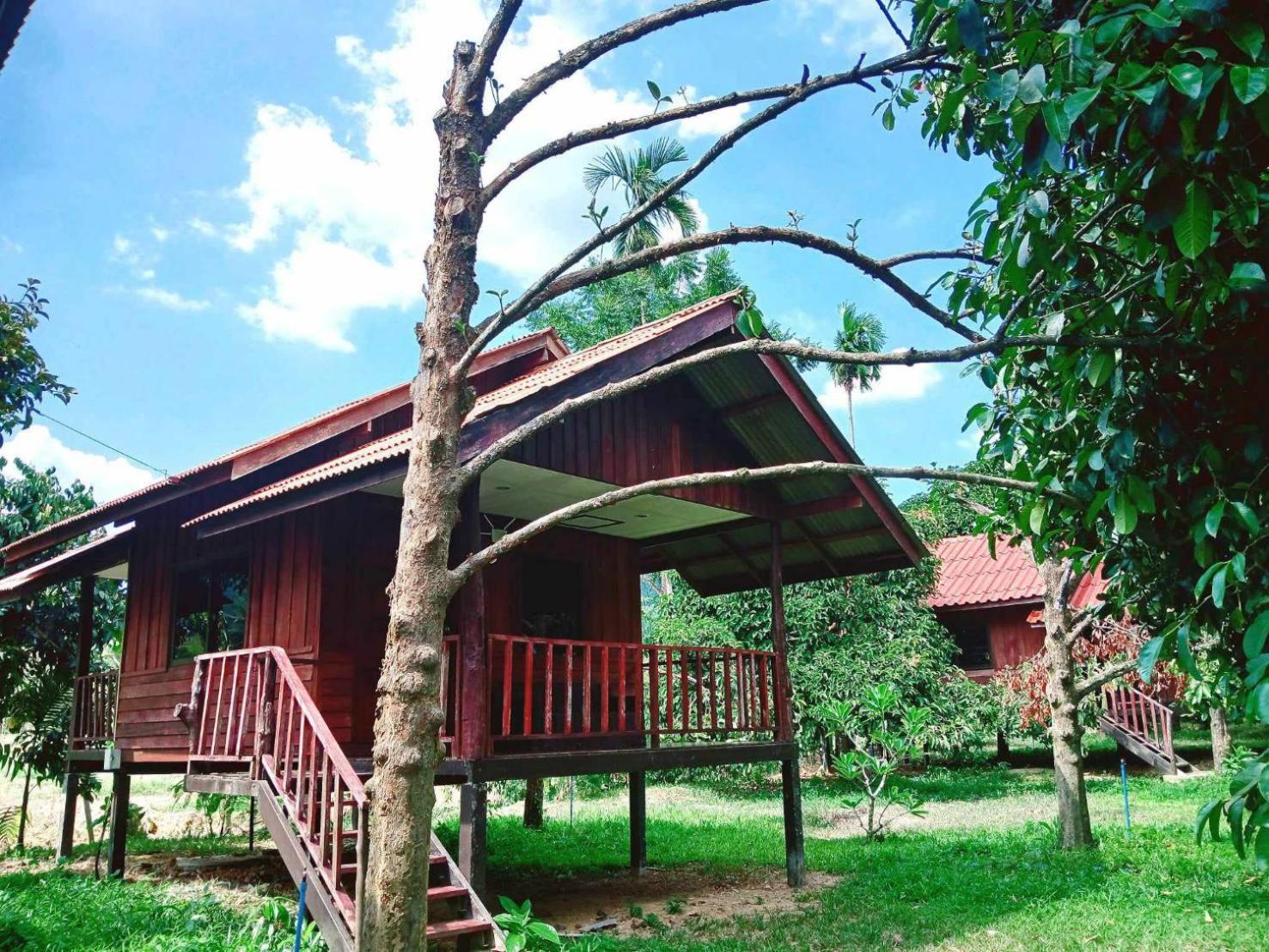 Готель Bamboo House Khao Sok National Park Номер фото