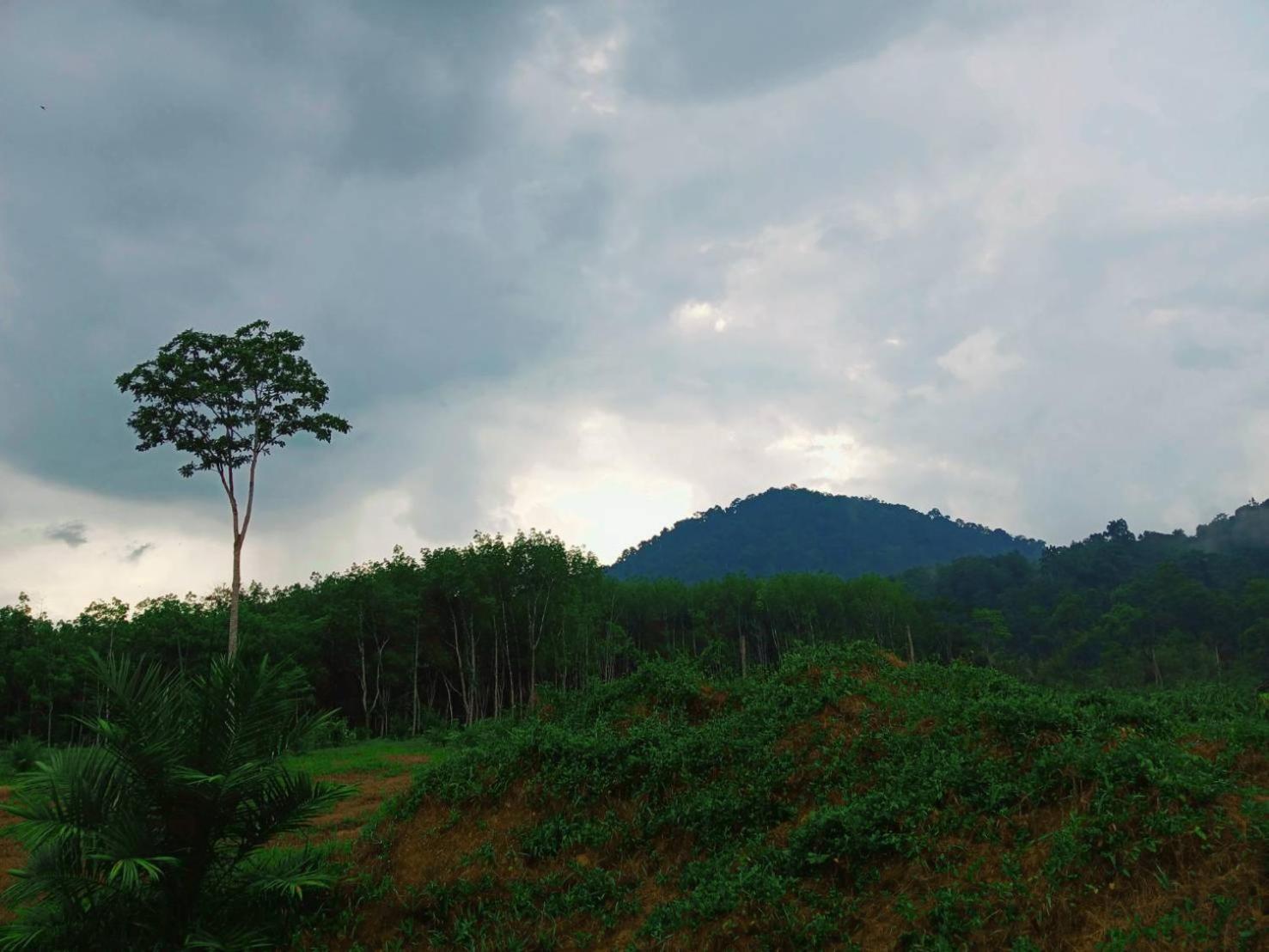 Готель Bamboo House Khao Sok National Park Екстер'єр фото