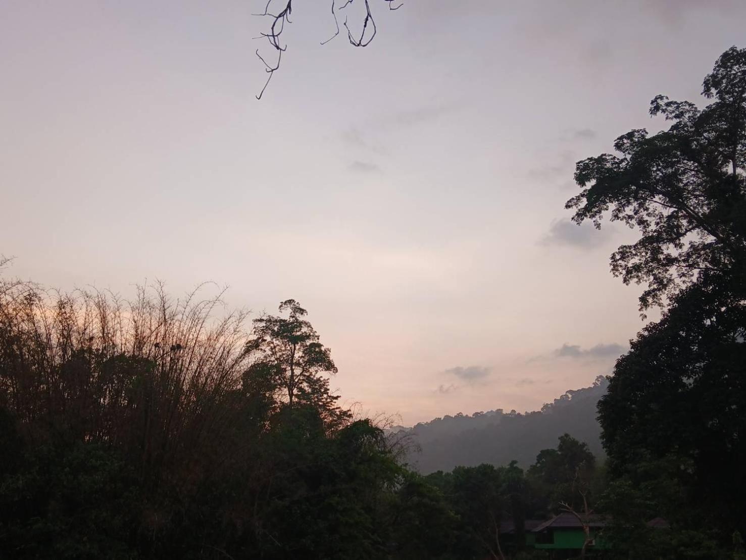 Готель Bamboo House Khao Sok National Park Екстер'єр фото