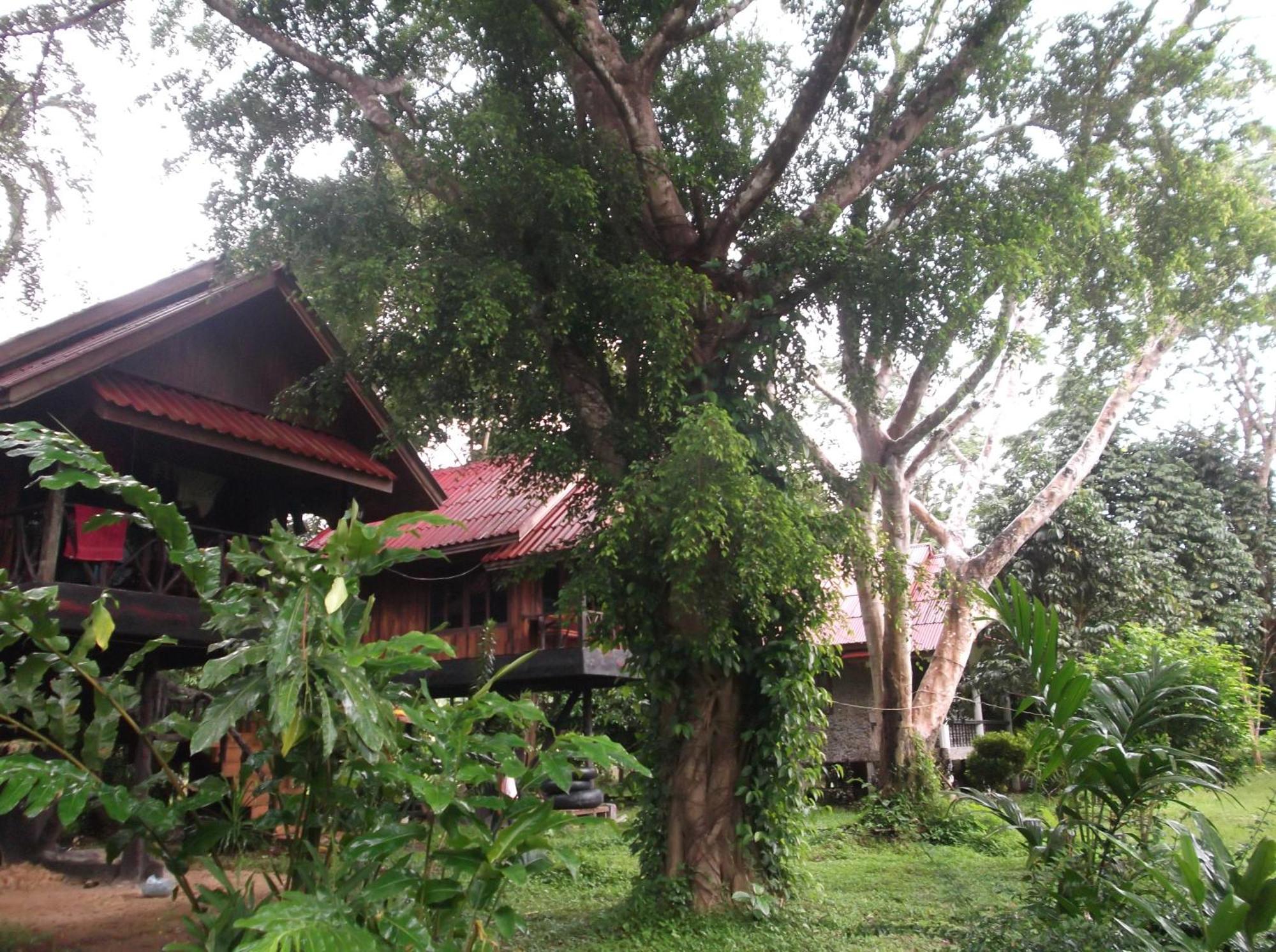 Готель Bamboo House Khao Sok National Park Екстер'єр фото
